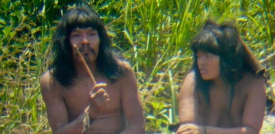 Власти Перу идут на контакт с диким племенем