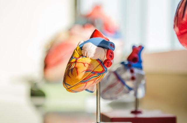 Более чем у половины пациентов, госпитализированных с Covid-19, обнаружены поражения сердца  