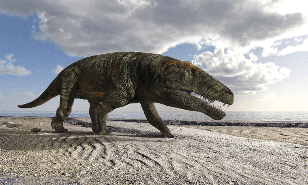 В Итальянских Альпах нашли следы доисторической рептилии, похожей на крокодила 