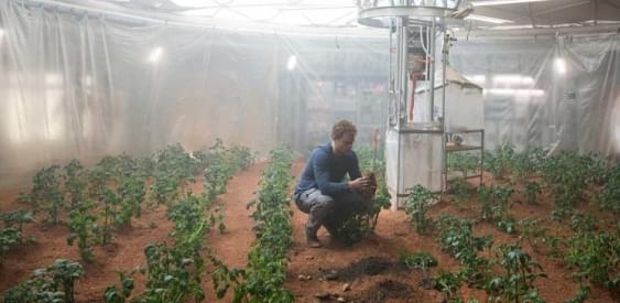 NASA выращивает картофель в марсианских условиях 