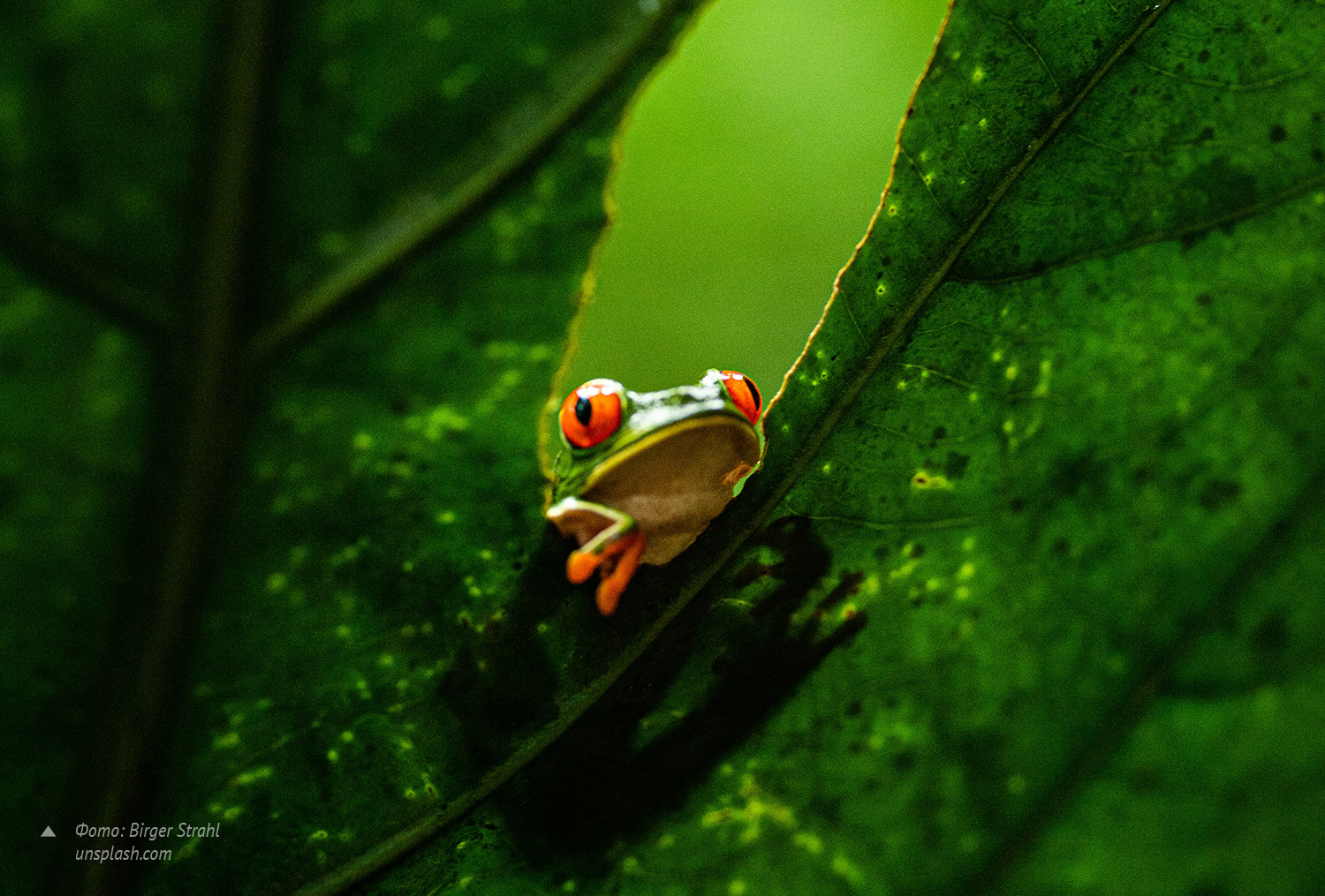 Механизм успеха: ноябрь 2025