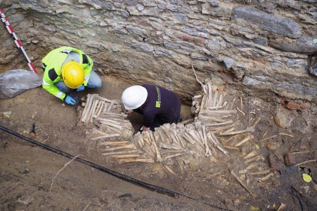 Под церковью в Бельгии обнаружены стены из человеческих костей и черепов