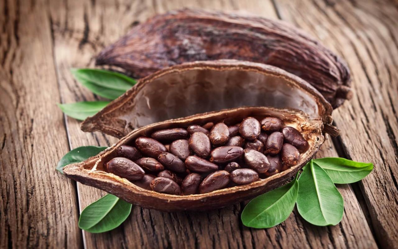 Ученые обнаружили полезные свойства какао