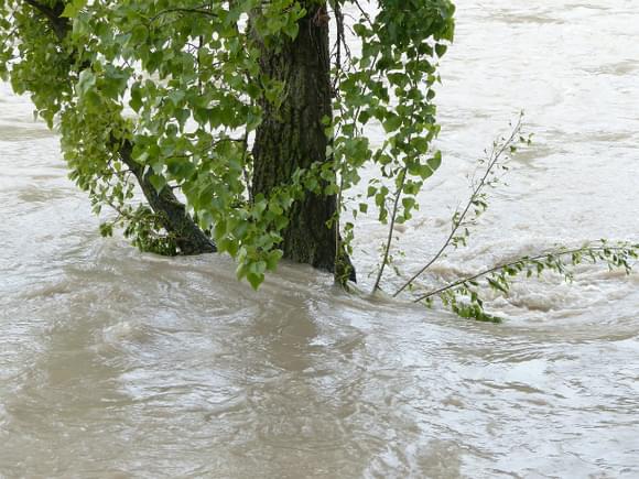 В Ленобласти затопило несколько населенных пунктов