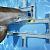 Разум в глубокой воде: почему дельфинов считают умными  