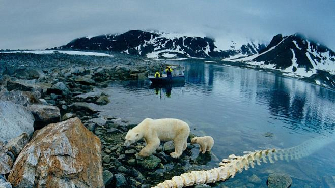 Температура в центральной Арктике может увеличиться на 20 градусов к 2100 году