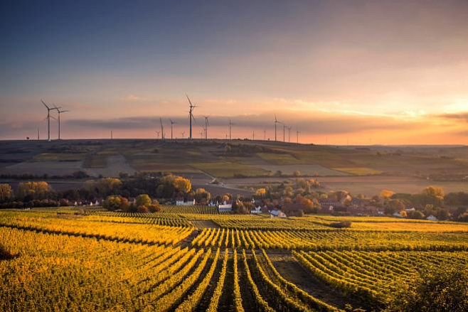 Возобновляемые источники энергии в Европе впервые обошли ископаемое топливо