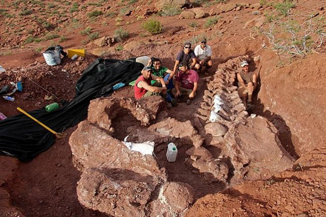 В Аргентине нашли останки возможно самого большого динозавра из когда-либо живших на Земле
