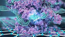 Новый CRISPR-чип находит генетические мутации за считанные минуты