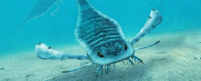 Древние океаны бороздили гигантские скорпены размером с человека и даже больше