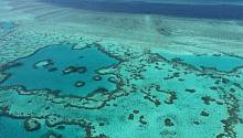 98% Большого Барьерного рифа подверглось полному обесцвечиванию