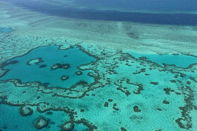 98% Большого Барьерного рифа подверглось полному обесцвечиванию