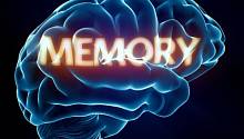  Мозг блокирует запоминание определённой информации