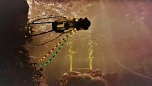 Робот-кальмар займётся исследованием морских глубин