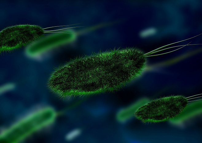 Открыт новый антибиотик, способный «взламывать» защиту резистентных бактерий