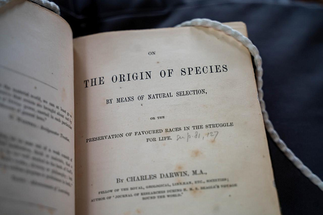 Одна из теорий эволюции Дарвина доказана исследователем из Кембриджа