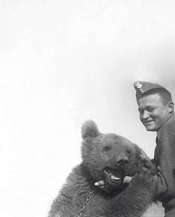 Медвежий патруль 