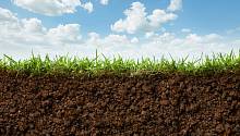 Шламы содового производства помогут рекультивировать загрязнённые почвы