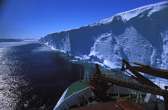 Под антарктическим ледником найдена разнообразная экосистема
