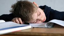 У детей, которые дремлют днем, наблюдается более высокий IQ