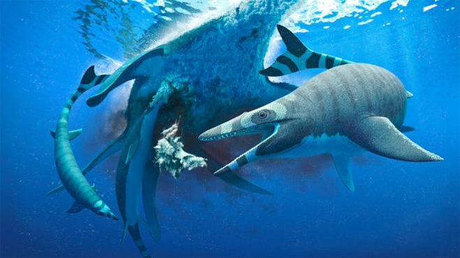 Доисторическая морская рептилия могла расчленять добычу так, как никто из ее современников 