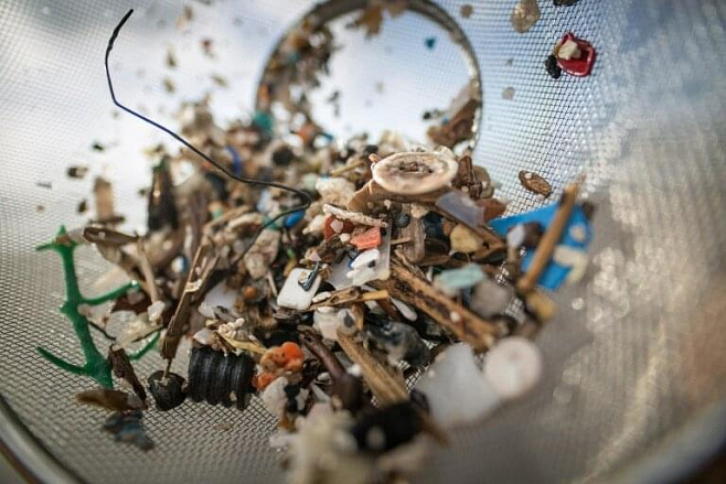 Пластик найден в животных, обитающих даже на самом дне океана