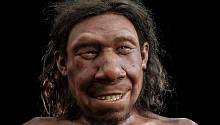 Реконструировано лицо первого известеого науке неандертальца