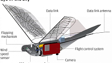 В Китае появились дроны-птицы