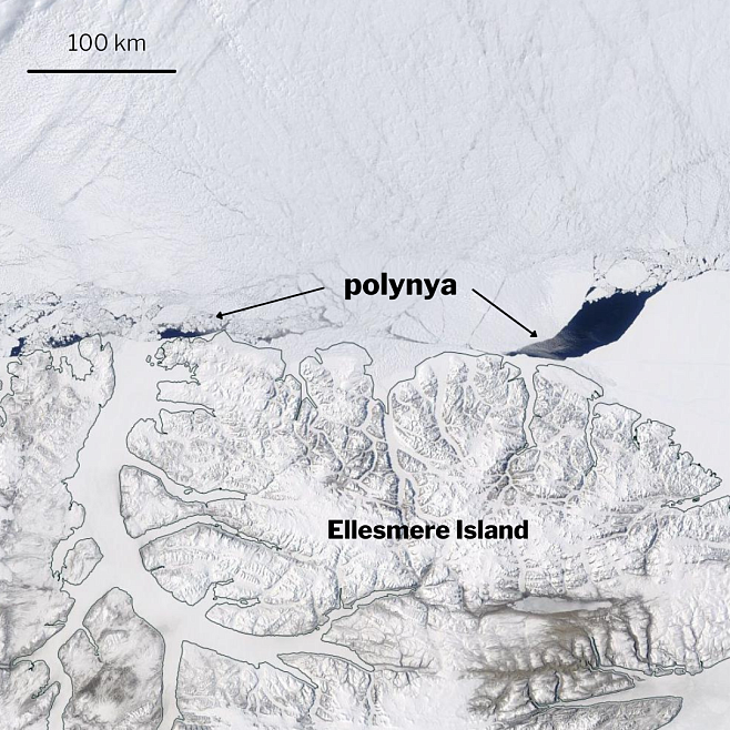 В зоне наиболее толстых льдов Арктики образовалась огромная брешь