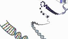 Редактирование РНК может стать новым методом борьбы мутациями, лежащими в основе опасного неврологического расстройства