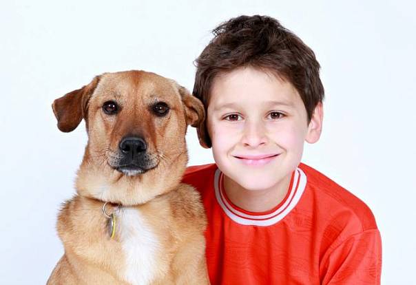 Собаки синхронизируют свое поведение с детьми меньше, чем со взрослыми