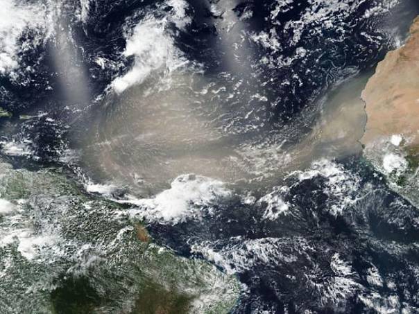 Африканская пыль удобряет почву Амазонии не так сильно, как принято считать 