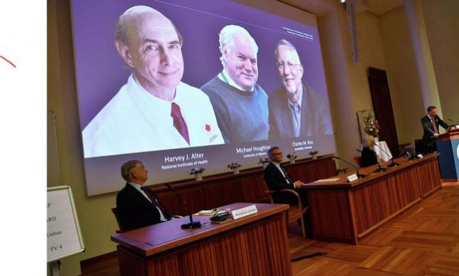 Нобелевскую премию по медицине дали за открытие гепатита С