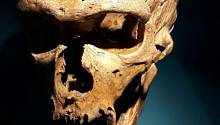 Неандертальцы могли производить человекообразную речь 