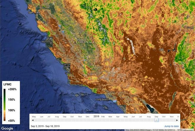 ИИ сможет определять потенциальные зоны лесных пожаров по спутниковым снимкам