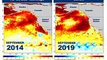 Новая волна повышения температурного режима океанического бассейна может привести к разрушительным последствиям