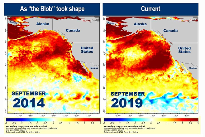 Новая волна повышения температурного режима океанического бассейна может привести к разрушительным последствиям