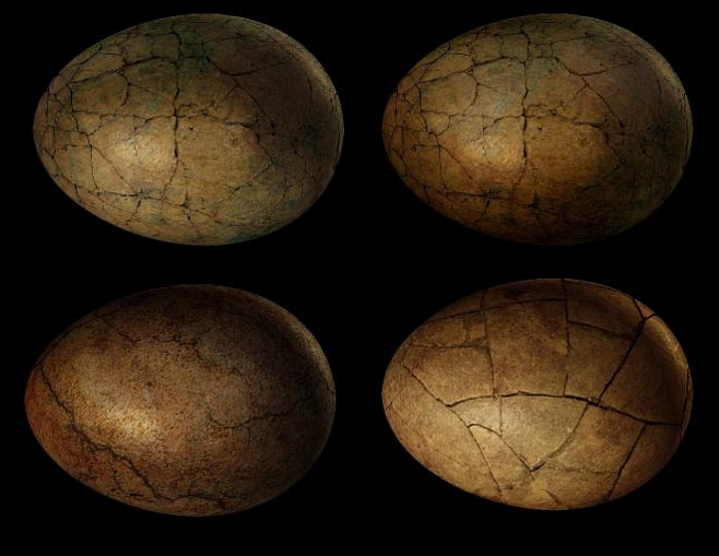 Химический анализ помог понять, кто отложил яйца в Мексике десятки миллионов лет назад 