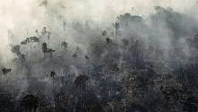 Уже через 15 лет леса Амазонии будут не поглощать углекислый газ из атмосферы, а выделять