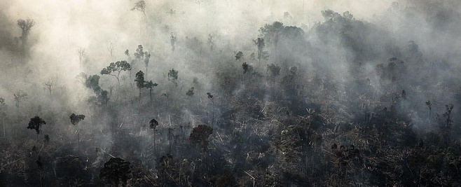 Уже через 15 лет леса Амазонии будут не поглощать углекислый газ из атмосферы, а выделять