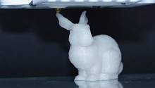 Созданную ДНК поместили в пластикового 3-D кролика