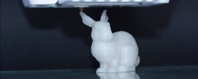 Созданную ДНК поместили в пластикового 3-D кролика