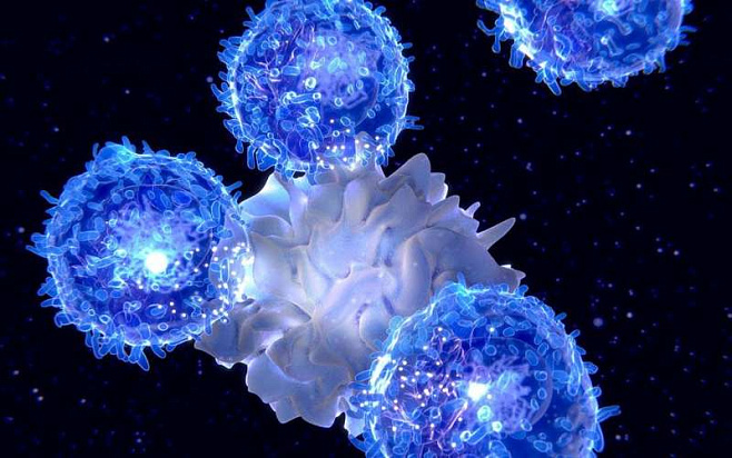 Регуляторные Т-клетки способствуют развитию раковых опухолей