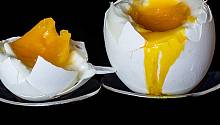 Полегче с яйцами: их чрезмерное употребление связали с повышенным риском развития диабета  