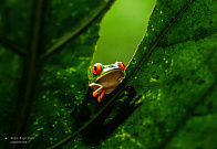 Фотоконкурс «Мир глазами биолога»