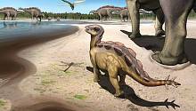 Детёныши стегозавров могли быть во много раз меньше взрослых особей
