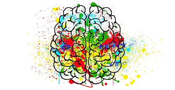 Креативность можно предсказать по структуре функциональных связей в мозге 