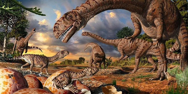 В музее обнаружили новый вид динозавров