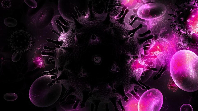 Выделяемые бактериями везикулы могут уменьшить распространение ВИЧ в тканях человека