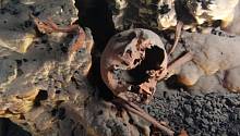 Древние черепа из мексиканской могилы удивили археологов